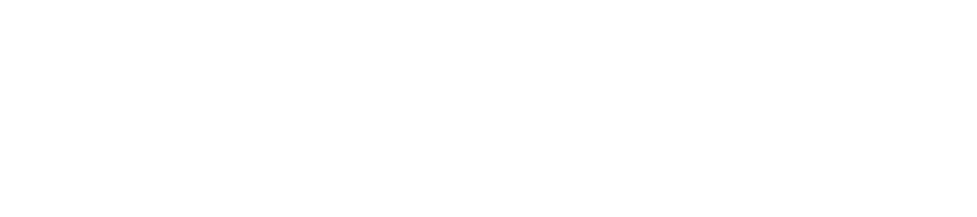 Nanobauer